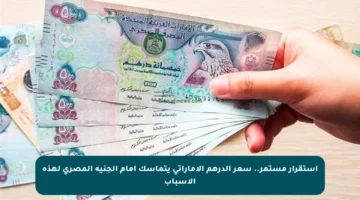 استقرار مستمر.. سعر الدرهم الإماراتي يتماسك أمام الجنيه المصري لهذة الأسباب